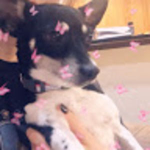 Meet your Posher, Ona